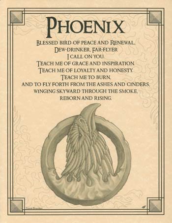 (image for) Phoenix