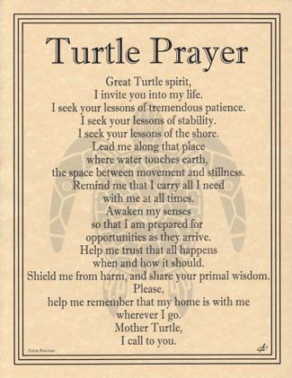 (image for) Turtle Prayer